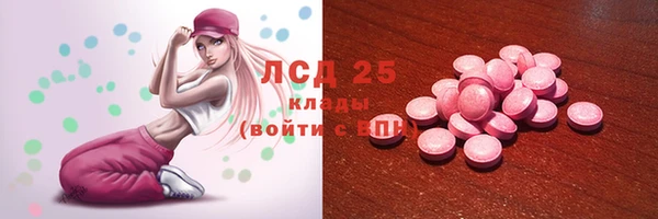 сатива Надым