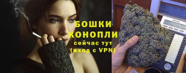 гидра Наволоки