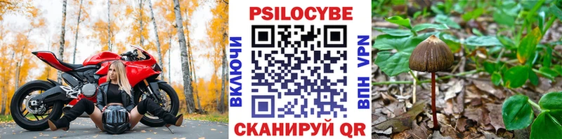 Псилоцибиновые грибы прущие грибы  цена наркотик  Лесозаводск 